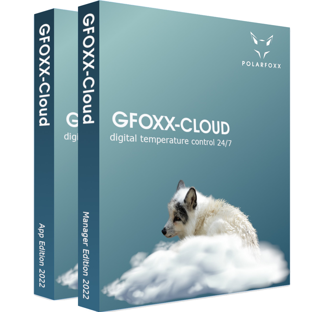 GFOXX Cloud 1 Standort (12 Monate)