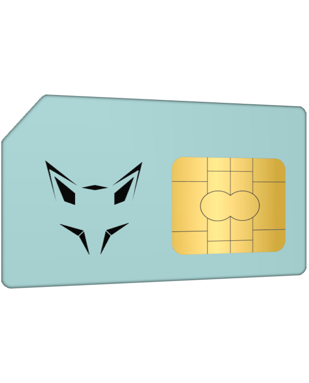 LoRaFOXX Ersatz SIM Karte